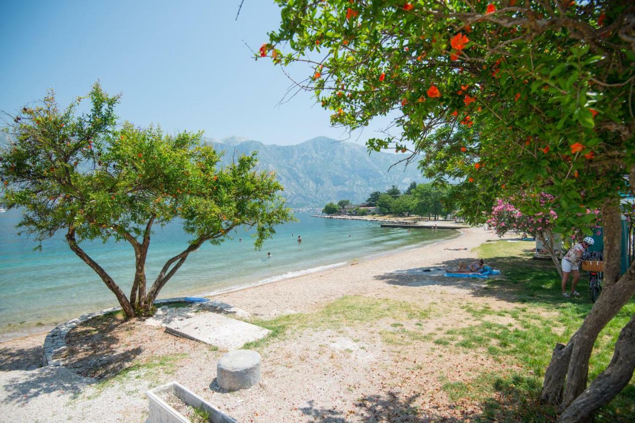 Villa Milami Kotor Exterior foto